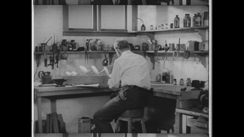 1950s New York, NY. Man sitting at work bench examines Cathode-ray tube. The Inventor ponders his design. 4K Overscan of Vintage Archival 16mm Film Print