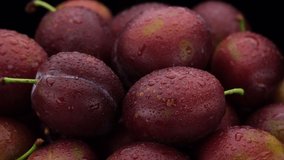 Fresh plums close up, rotation. Healthy Nutrition concept. 4K UHD video