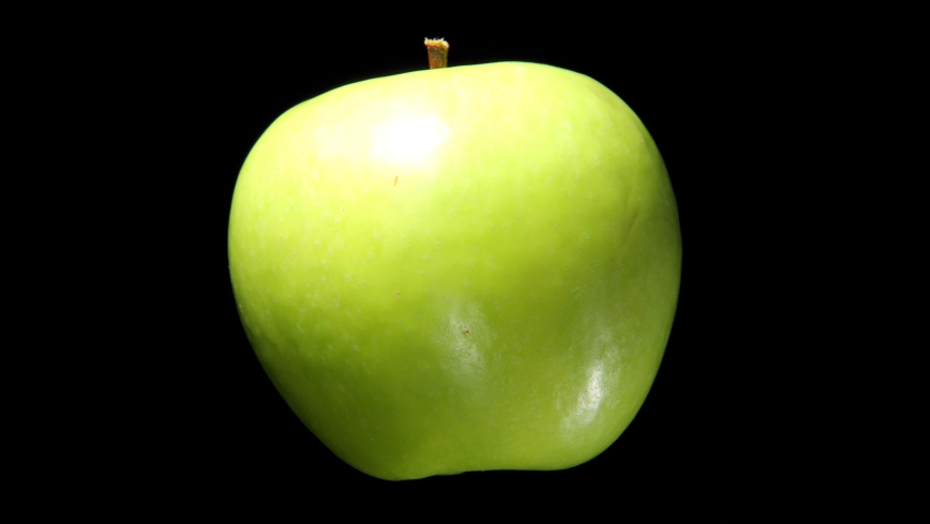 Fresh ripe green apple quickly wither to ugly brown shriveled lump. Time lapse shot, fruit isolated on black. Aging as natural process concept. Light skin change color first, then shape changed Royalty-Free Stock Footage #1078536509