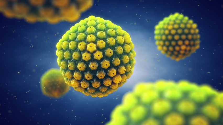 Animation of Herpes simplex viruses ( HSV ) . Cold sores are caused by Herpes virus infection Royalty-Free Stock Footage #1078552055