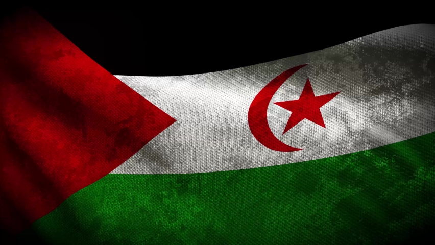 Как выглядит флаг западной сахары Flag of western sahara Newest HD Videos (3 of 11)
