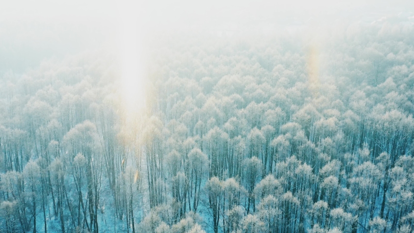 4K Snowy Forest In Winter Frosty Day. Blue And White Frost. Aerial View Above Amazing Pines During Misty Frozen Morning. Sunrise Sunset Sunrays Above Winter Nature Landscape. Scenic View Of Park Frost Royalty-Free Stock Footage #1078571153