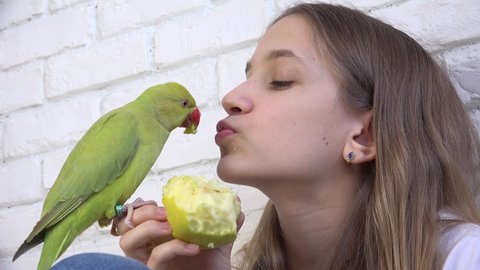 Child Talk Parrot, Happy Kid Playing her Pet, Girl, Bird Eating Apple Fruit, Funny Indian Ring-Necked Parakeet Birds Cage Family