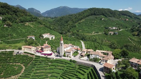 Italian Vineyards in the Summer, in the village of Prosecco, Stunning Aerial View