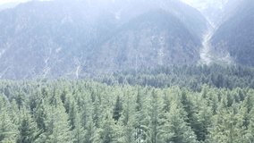 Aerial top down view in Kumrat Valley jungle green rainforest with mountains areal raw hd footage