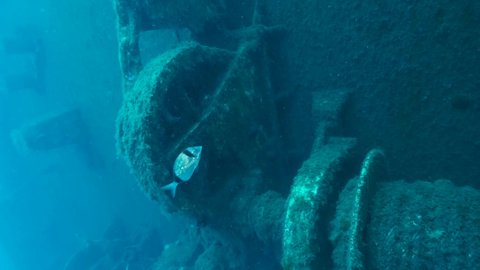 Winch on the shipwreck Swedish ferry MS Zenobia. Slow motion, Wreck diving. Mediterranean sea, Cyprus