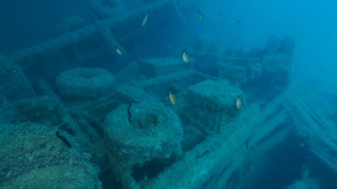 Car on shipwreck Swedish ferry MS Zenobia. Wreck diving. Mediterranean sea, Cyprus