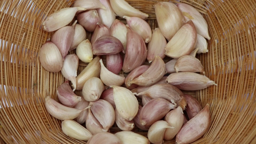 Allium sativum for cooking in the kitchen