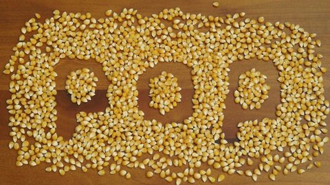 Stop motion video of corn kernel forming the word "Pop".