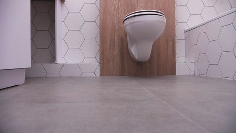 built-in toilet in the bathroom, hexagonal ceramic tiles
