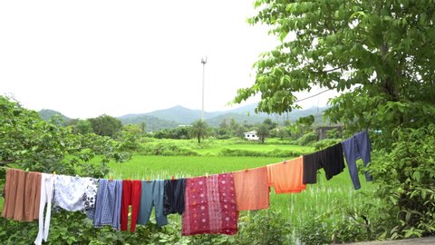 Cloths line with nature background 