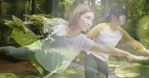 Composite of two happy asian women practicing yoga outdoors, and sunlight on plants. health, fitness and wellbeing concept digitally generated video.