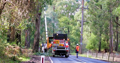  Gembrook, Victoria Australia – 08 20 2021: Roadside crew clearing vegetation with mechanical trimmer.