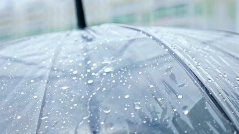 close-up of a transparent umbrella in the rain.