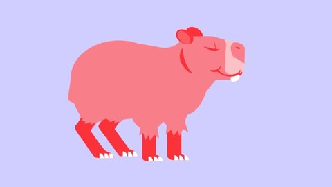 Animated Cute pink Capybara walking over a blue background