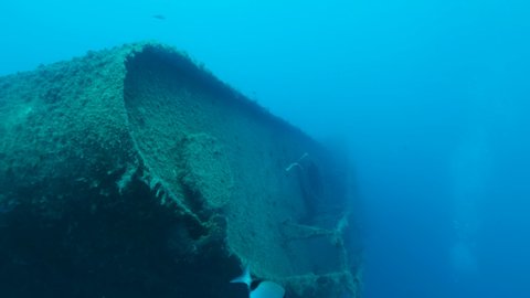 Shipwreck Swedish ferry MS Zenobia, a flock of Blacktail Bream fish swims around. Wreck diving. Mediterranean sea, Cyprus