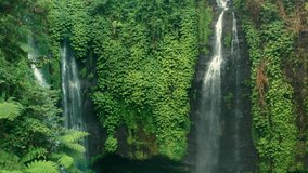 amazing waterfall Air Terjun Fiji  hidden in the tropical rainforest jungle island Bali, Indonesia. 4K UHD Video Clip