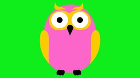 Animated funny pink owl. Looped video. Vector illustration isolated on a green background.