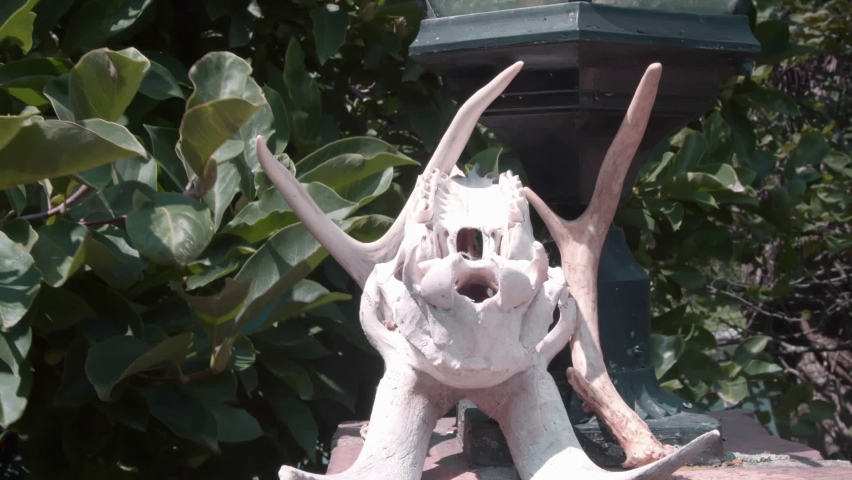 Bone decorations outside, creepy concept