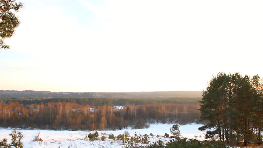 panorama of winter forest