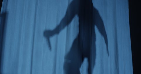 Shadow of the Murderer Killing its Pray with a Knife at Night