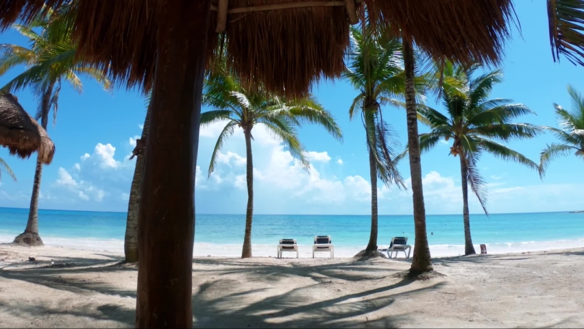 Gorgeous tilting down shot of a tropical beach with white sand, palm trees, and turquoise water on the beautiful Playa del Carmen in Riviera Maya, Mexico near Cancun on a sunny summer day on vacation. Royalty-Free Stock Footage #1078714640