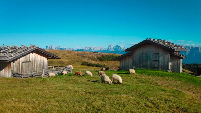 Sheep in front of two huts in the middle of the mountains in the Italian alps.