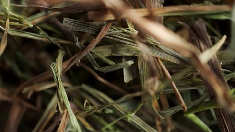 Dried timothy hay rotating extreme close up stock footage