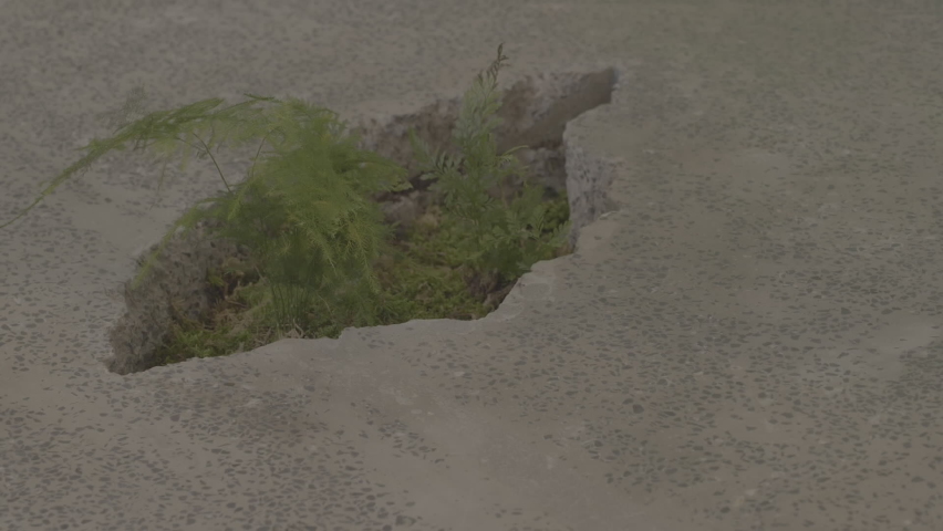 Concrete - granite textured top of a trendy table in a restaurant, a hole in the middle with moss and grass as a design detail. Close up.
