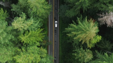 Aerial shot large comfortable SUV car driving by clean road highway in dense forest to mountains in national park. Joy future, nature travel concept. Top down view tourists traveling in white vehicle