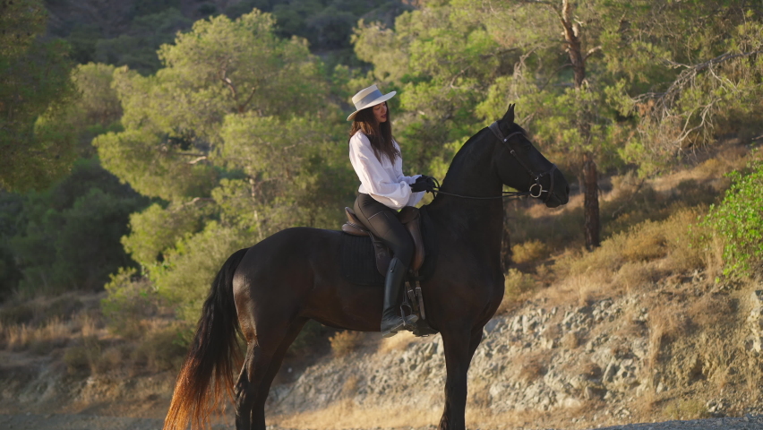 Side view of positive professional Caucasian equestrian talking to horse sitting on animal back smiling. Cheerful beautiful slim woman training purebred graceful mammal outdoors on summer day