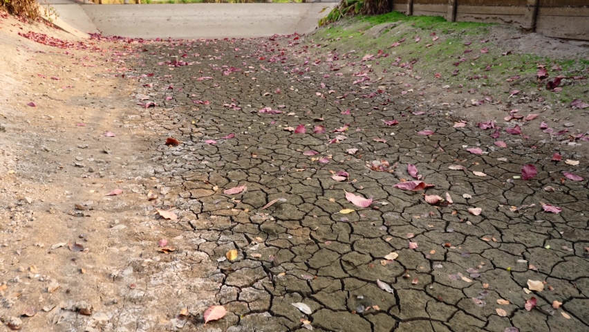 A view of fallen leaves on the ground with fissures in 4K