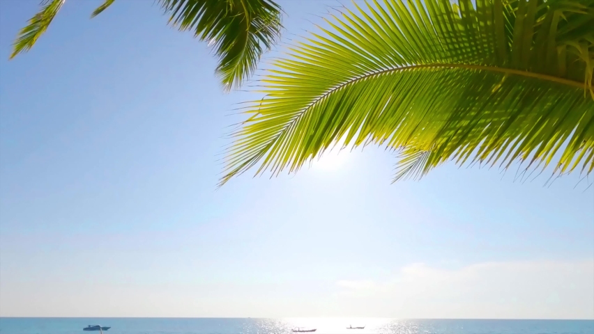 Bright sun light ray shining trough tropical palm leaf on white cloud blue sky background over sea water surface n calm ocean wave with summer cruise ship pier, Slow Motion 4k cinemagraph b-roll vdo  Royalty-Free Stock Footage #1078763855