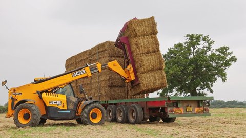 Perry Green, Much Hadham, Hertfordshire, UK. September 4th 2021. Man using a telehandler to load bales of straw onto a tractor trailer.
