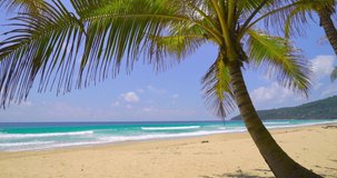 Nature video Landscape view of Coconut on beach and sea in summer sun, Tropical sea island and beach. 