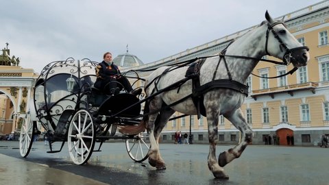 Russia.Saint-Petersburg.01.09.21. Horse carriage in St. Petersburg. The girl drives a carriage with horses.