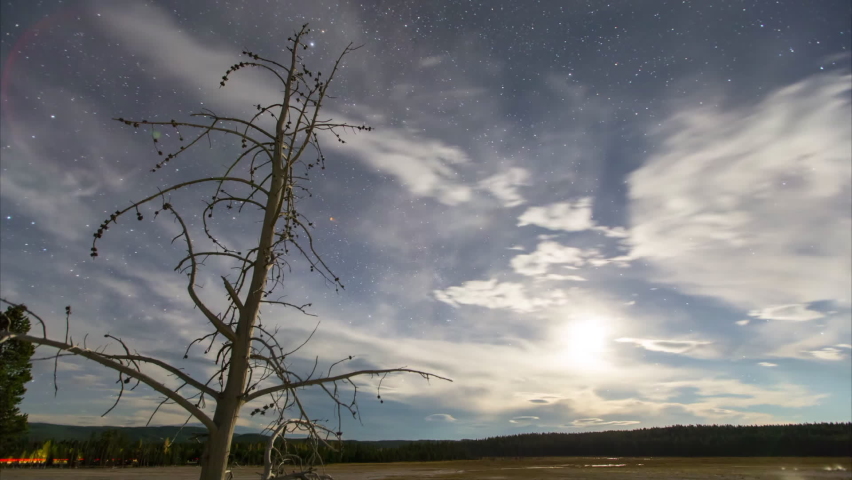 Panning Time Lapse Scenic View Of Bare Tree On Landscape At Yellowstone National Park During Day, Sunset And Evening