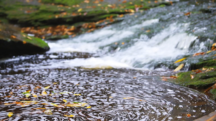 Blackwater Falls famous Elakala waterfall closeup of swirl in pool water in State Park in West Virginia during autumn fall season
