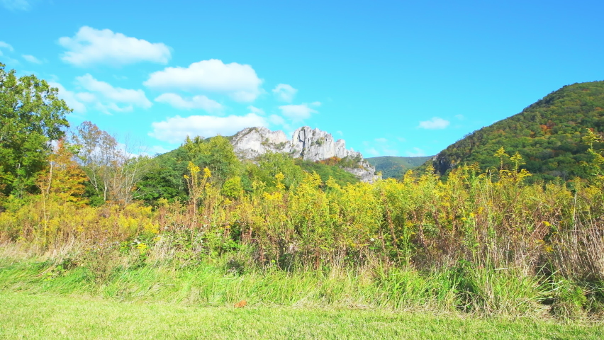 View of Seneca Rocks in colorful fall autumn with golden yellow foliage on trees at Monongahela national forest by lawn meadow grass on sunny season weather