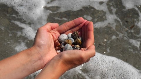 Small seashells lie on man's hands against background of sea, water, waves, sea foam. Man holds in hands full handful of small seashells, close-up. Concept of vacation, holidays. Slow motion video.