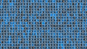 Loopable: Genetic mapping DNA sequence analysis abstract background with changing DNA components A, T, G, C. Genomic data analysis concept. - Powered by Shutterstock - Get 15% off with code: PIKWIZARD15