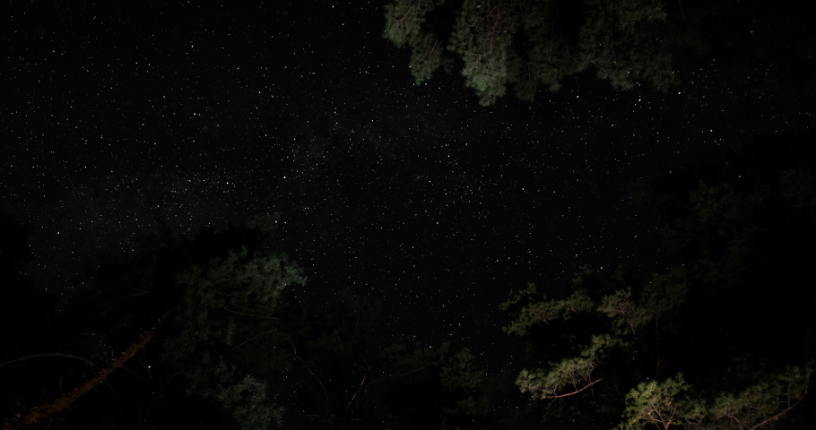 Time lapse of comet-shaped star trails over the forest in the night sky. Stars move around a polar star. 4K