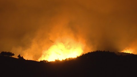 Fire front, wall of fire, line of fire, forest fire, bushfire in the valley