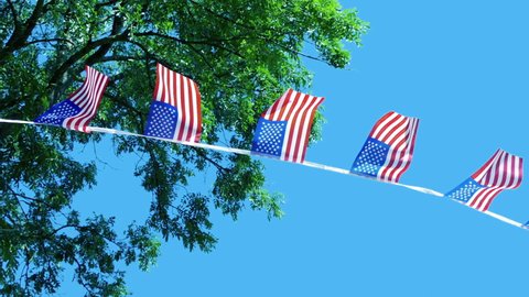 American Flags Bunting And Tree With Blue Sky