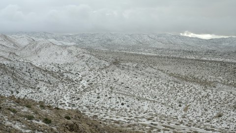 Snow flurries falling on the Joshua Tree desert.