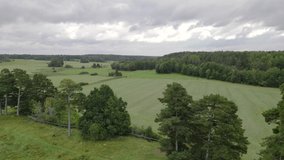Green meadows surrounded by forests (Drone Footage)