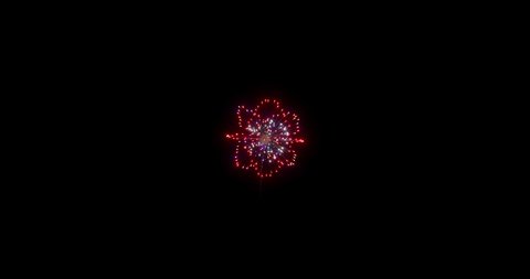 This is a set of videos of two fireworks: one that looks like a star and one that depicts a sphere surrounded by multiple circles.