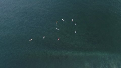 Top down aerial as surfers wait on waves in water panning up to blue ocean, 4K