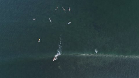Top down aerial following surfer towards shore as they ride wave, 4K