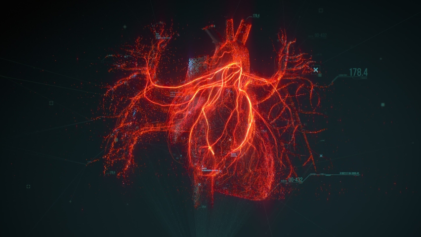Digital model of the Human heart and major blood vessels. Diagnostic of the human circulatory system